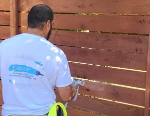 Explorer Paint photo 3