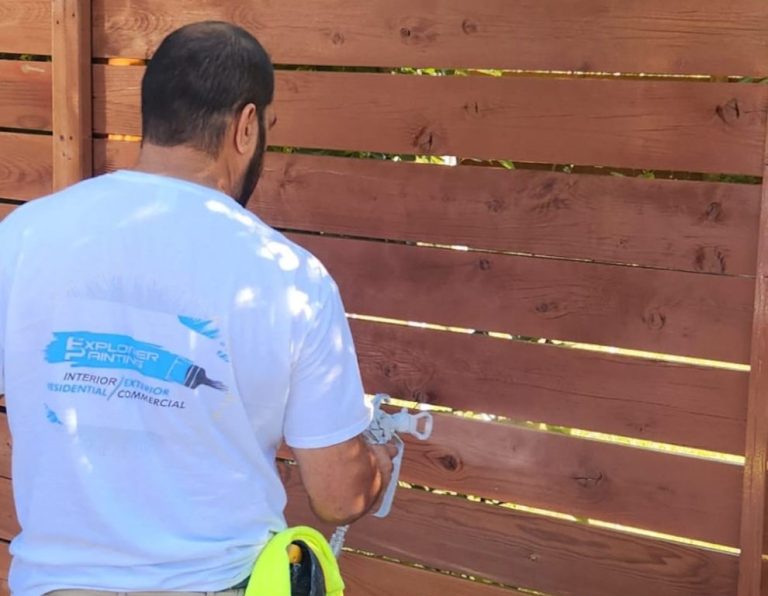 Explorer Paint photo 4